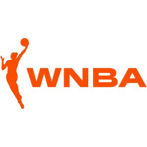 WNBA Play-Offs logo