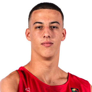 Gojko Radulovic