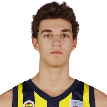 Emre Adiguzel