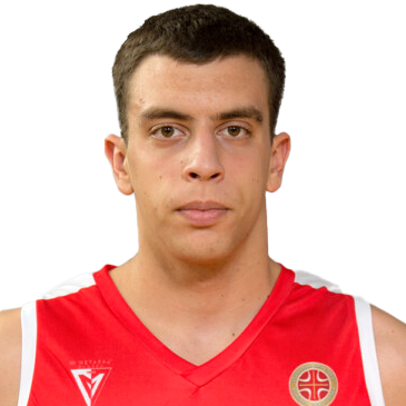 Vojin Obradovic
