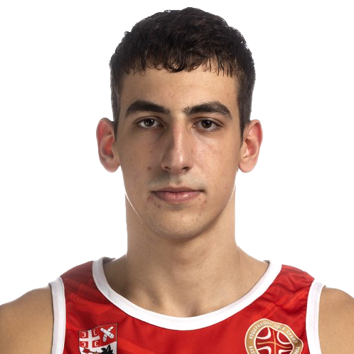 Vasilic Nikola