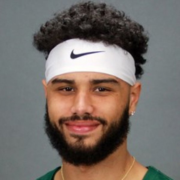 Holland Woods